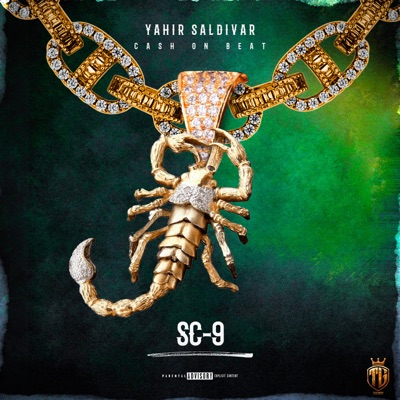 Meaning of Yahir Saldivar - SC-9 | TuneInsights
